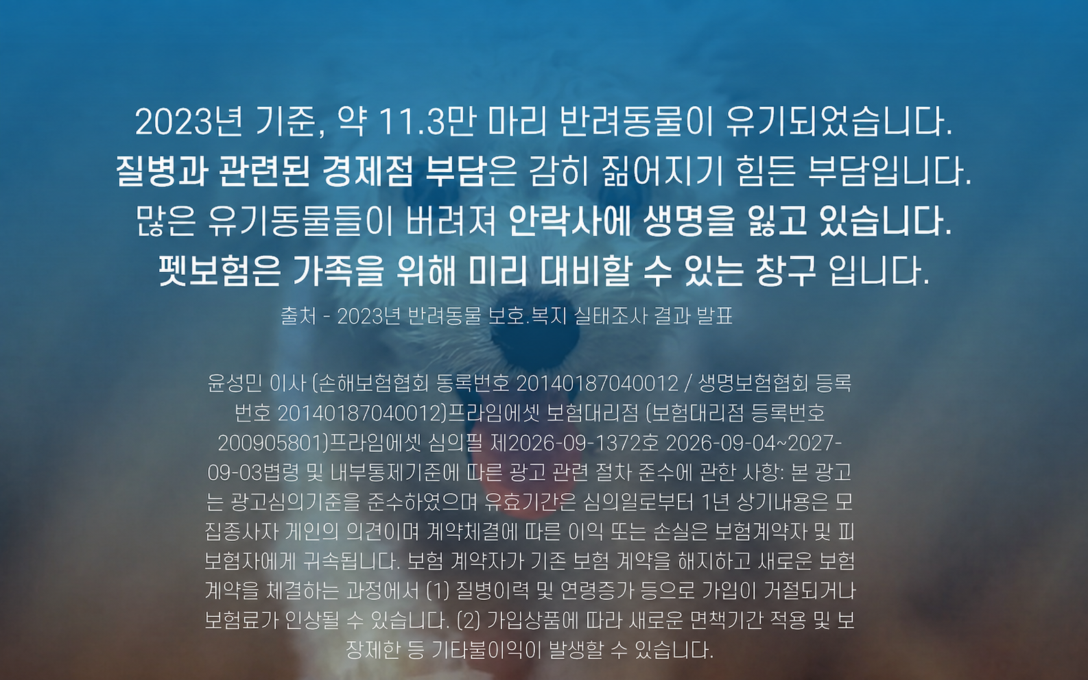 펫보험 전문 비교사이트